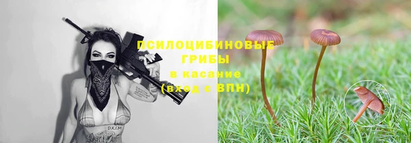 соль ск Каменка