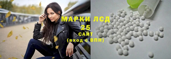 соль ск Каменка