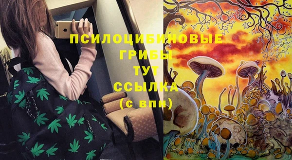 герыч Каменногорск