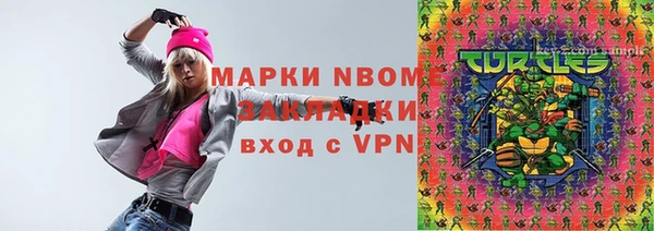 соль ск Каменка