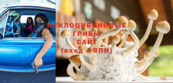 герыч Каменногорск