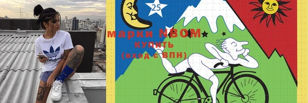 соль ск Каменка